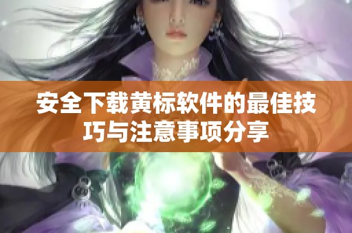 安全下载黄标软件的最佳技巧与注意事项分享