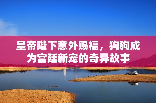 皇帝陛下意外赐福，狗狗成为宫廷新宠的奇异故事