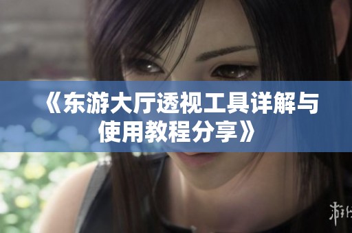《东游大厅透视工具详解与使用教程分享》