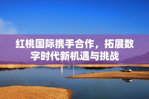 红桃国际携手合作，拓展数字时代新机遇与挑战