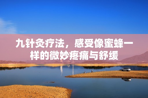 九针灸疗法，感受像蜜蜂一样的微妙疼痛与舒缓