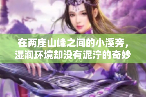 在两座山峰之间的小溪旁，湿润环境却没有泥泞的奇妙体验