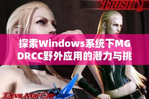 探索Windows系统下MGDRCC野外应用的潜力与挑战