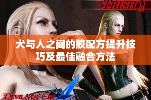 犬与人之间的胶配方提升技巧及最佳融合方法