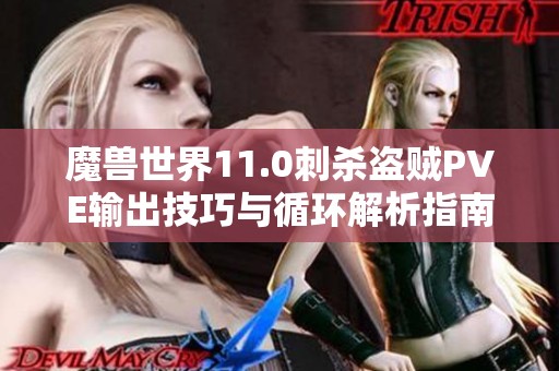 魔兽世界11.0刺杀盗贼PVE输出技巧与循环解析指南