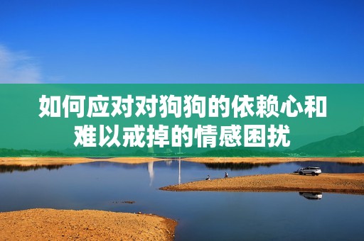 如何应对对狗狗的依赖心和难以戒掉的情感困扰