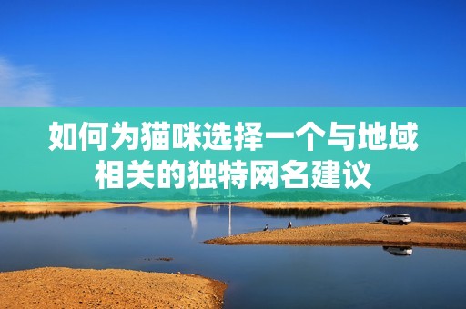 如何为猫咪选择一个与地域相关的独特网名建议