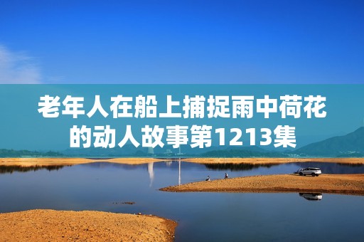 老年人在船上捕捉雨中荷花的动人故事第1213集