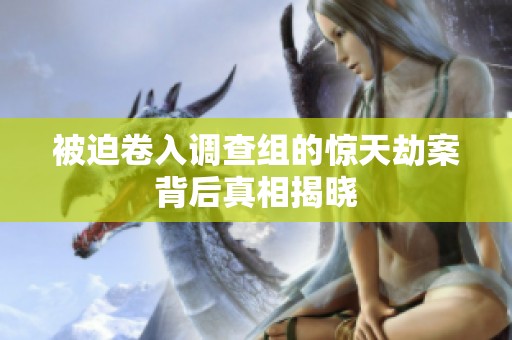被迫卷入调查组的惊天劫案背后真相揭晓
