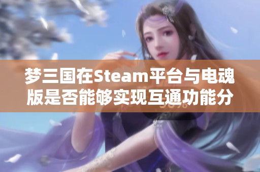 梦三国在Steam平台与电魂版是否能够实现互通功能分析