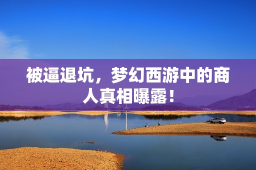 被逼退坑，梦幻西游中的商人真相曝露！