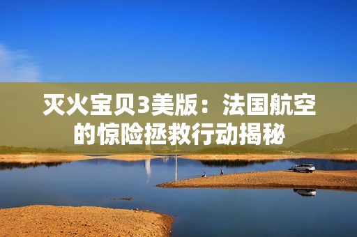 灭火宝贝3美版：法国航空的惊险拯救行动揭秘