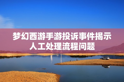 梦幻西游手游投诉事件揭示人工处理流程问题