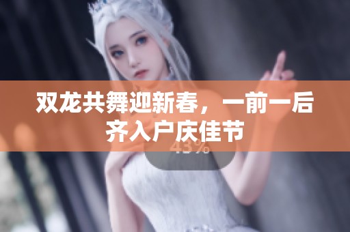 双龙共舞迎新春，一前一后齐入户庆佳节