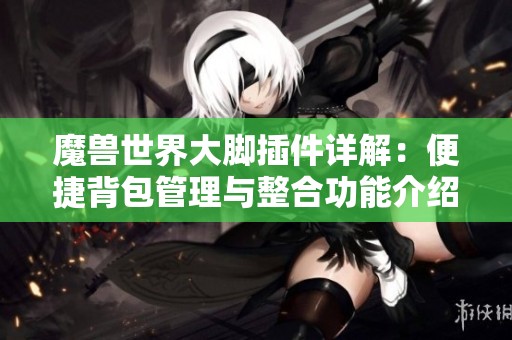 魔兽世界大脚插件详解：便捷背包管理与整合功能介绍