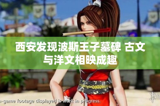 西安发现波斯王子墓碑 古文与洋文相映成趣
