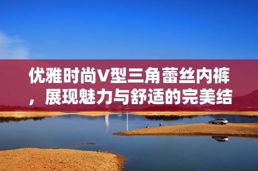 优雅时尚V型三角蕾丝内裤，展现魅力与舒适的完美结合