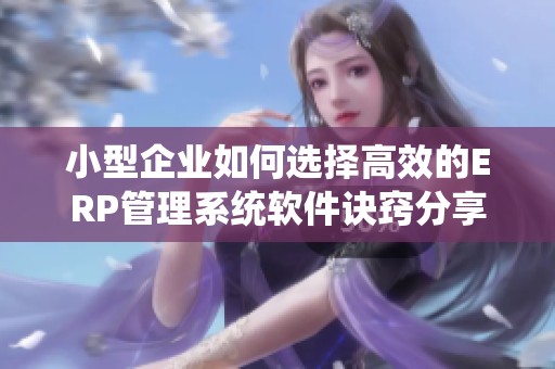 小型企业如何选择高效的ERP管理系统软件诀窍分享