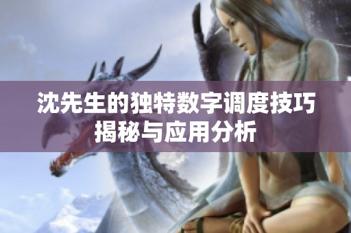 沈先生的独特数字调度技巧揭秘与应用分析