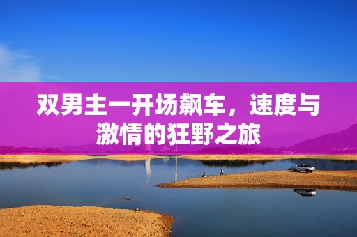 双男主一开场飙车，速度与激情的狂野之旅
