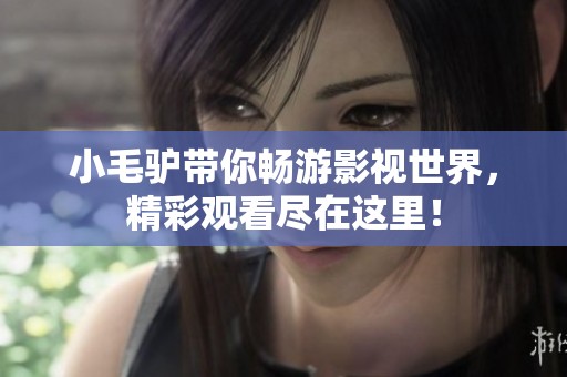 小毛驴带你畅游影视世界，精彩观看尽在这里！