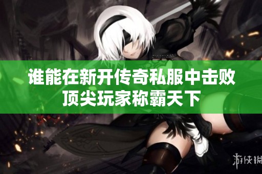 谁能在新开传奇私服中击败顶尖玩家称霸天下