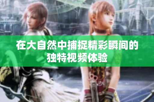 在大自然中捕捉精彩瞬间的独特视频体验
