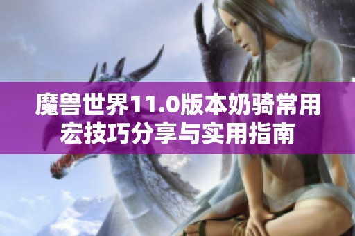魔兽世界11.0版本奶骑常用宏技巧分享与实用指南