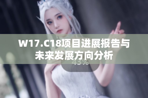 W17.C18项目进展报告与未来发展方向分析