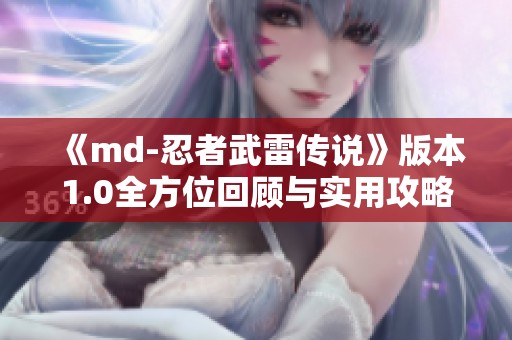 《md-忍者武雷传说》版本1.0全方位回顾与实用攻略分享