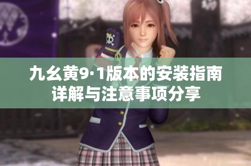 九幺黄9·1版本的安装指南详解与注意事项分享