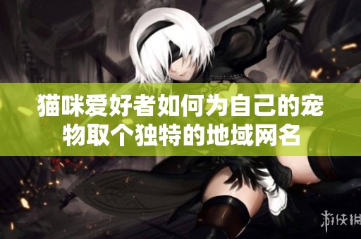 猫咪爱好者如何为自己的宠物取个独特的地域网名
