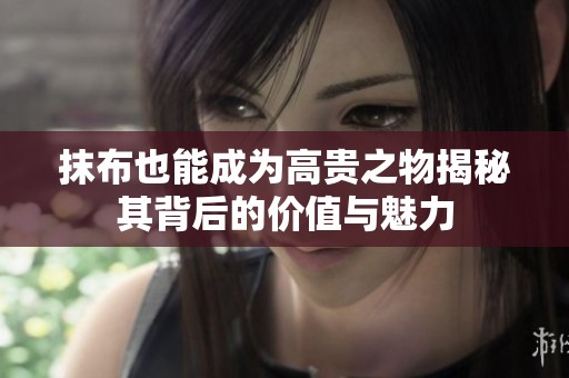 抹布也能成为高贵之物揭秘其背后的价值与魅力