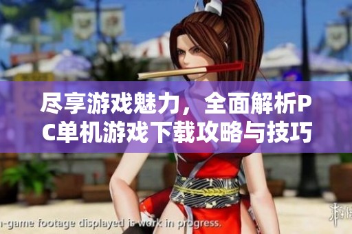 尽享游戏魅力，全面解析PC单机游戏下载攻略与技巧