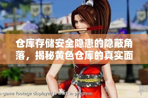 仓库存储安全隐患的隐蔽角落，揭秘黄色仓库的真实面貌