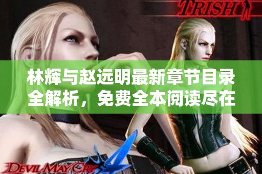 林辉与赵远明最新章节目录全解析，免费全本阅读尽在笔趣阁岛