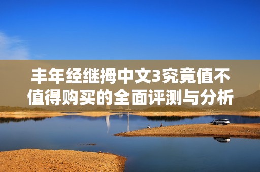 丰年经继拇中文3究竟值不值得购买的全面评测与分析