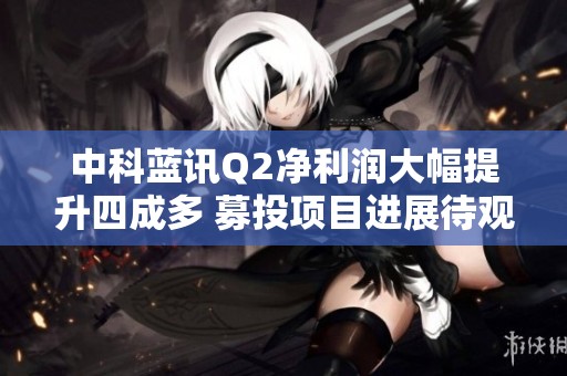 中科蓝讯Q2净利润大幅提升四成多 募投项目进展待观察
