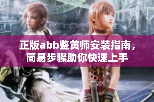 正版abb鉴黄师安装指南，简易步骤助你快速上手