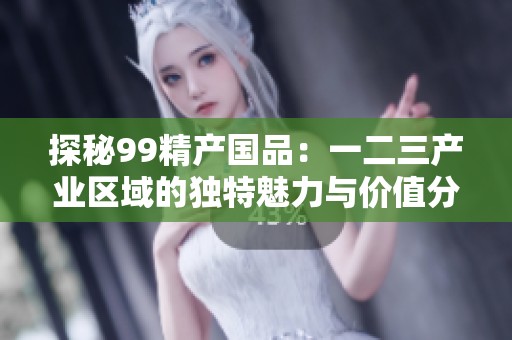 探秘99精产国品：一二三产业区域的独特魅力与价值分析