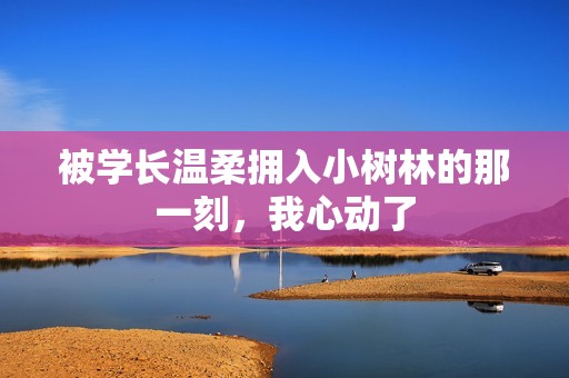 被学长温柔拥入小树林的那一刻，我心动了