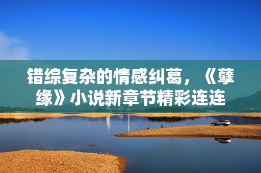 错综复杂的情感纠葛，《孽缘》小说新章节精彩连连