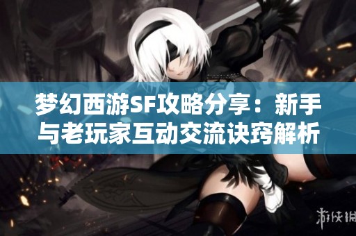 梦幻西游SF攻略分享：新手与老玩家互动交流诀窍解析