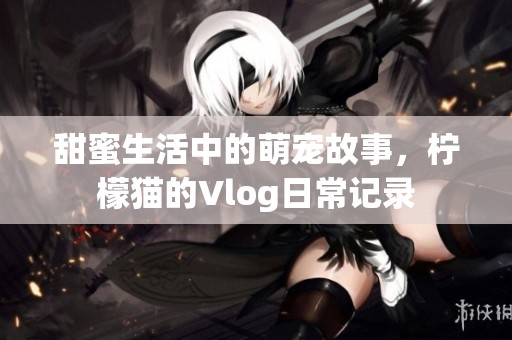 甜蜜生活中的萌宠故事，柠檬猫的Vlog日常记录
