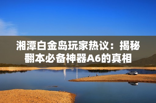 湘潭白金岛玩家热议：揭秘翻本必备神器A6的真相