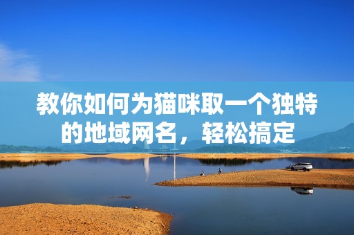 教你如何为猫咪取一个独特的地域网名，轻松搞定