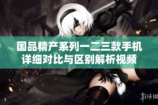 国品精产系列一二三款手机详细对比与区别解析视频