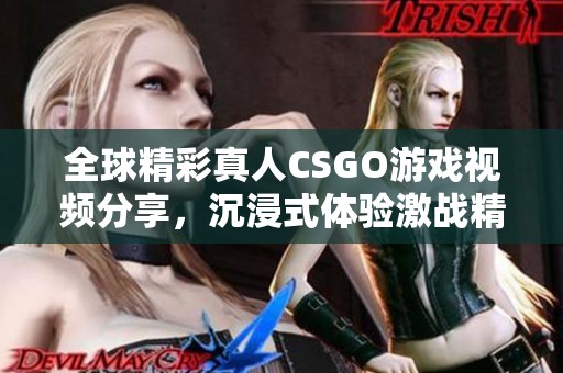 全球精彩真人CSGO游戏视频分享，沉浸式体验激战精彩瞬间