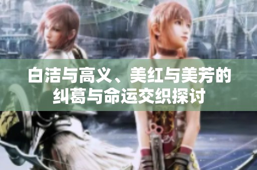 白洁与高义、美红与美芳的纠葛与命运交织探讨