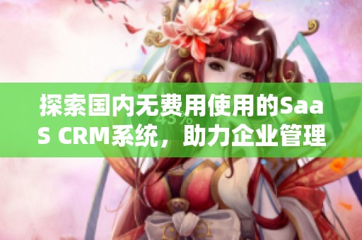 探索国内无费用使用的SaaS CRM系统，助力企业管理效率提升